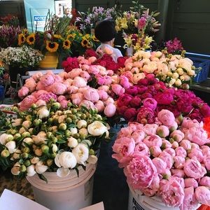 Meet your Posher, Claire